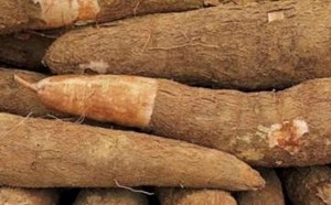 Giảm mỡ nội tạng bằng cách nấu sắn cho bữa tối