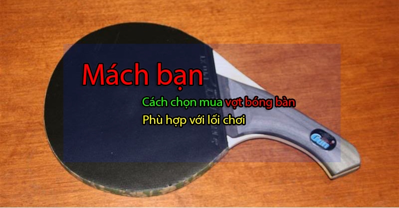 Kinh nghiệm chọn mua vợt bóng bàn phù hợp với lối chơi